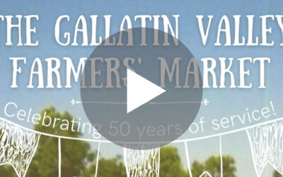 The GVFM is Turning 50!