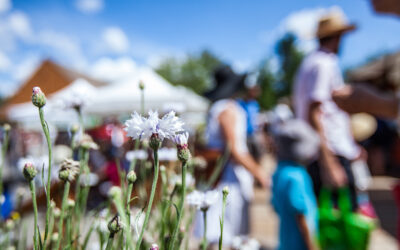 June 26th Market – All Outdoors