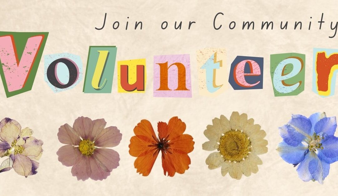 Volunteer at the GVFM!